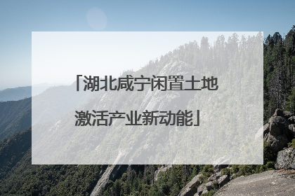 湖北咸宁闲置土地激活产业新动能