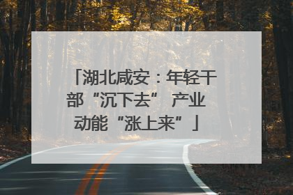湖北咸安：年轻干部“沉下去” 产业动能“涨上来”