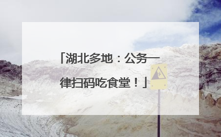 湖北多地：公务一律扫码吃食堂！