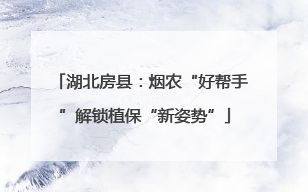 湖北房县：烟农“好帮手”解锁植保“新姿势”