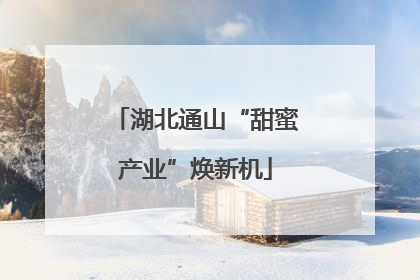 湖北通山“甜蜜产业”焕新机