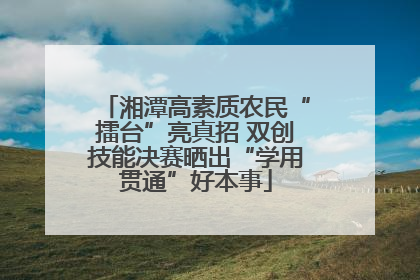 湘潭高素质农民“擂台”亮真招 双创技能决赛晒出“学用贯通”好本事