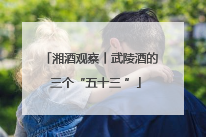 湘酒观察丨武陵酒的三个“五十三 ”