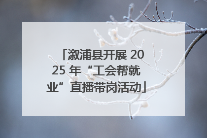 溆浦县开展 2025 年“工会帮就业”直播带岗活动