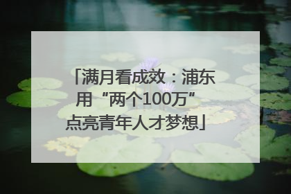 满月看成效：浦东用“两个100万”点亮青年人才梦想