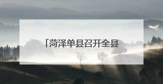 菏泽单县召开全县中医药护佑健康成长行动省级试点暨无偿献血工作会议