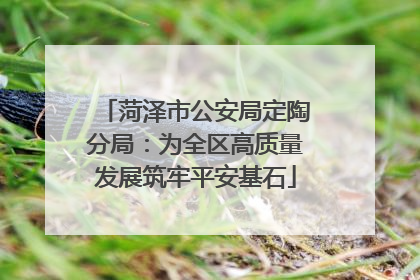 菏泽市公安局定陶分局：为全区高质量发展筑牢平安基石