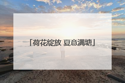 荷花绽放 夏意满塘