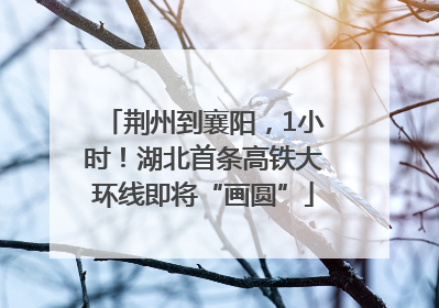 荆州到襄阳，1小时！湖北首条高铁大环线即将“画圆”