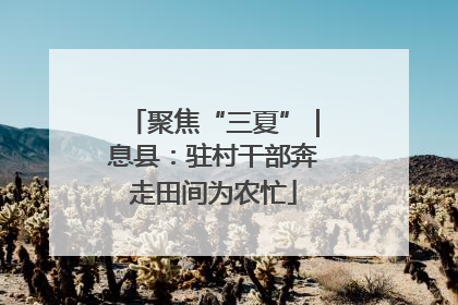 聚焦“三夏”｜息县：驻村干部奔走田间为农忙