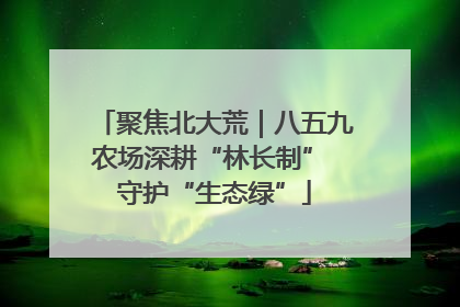 聚焦北大荒｜八五九农场深耕“林长制” 守护“生态绿”
