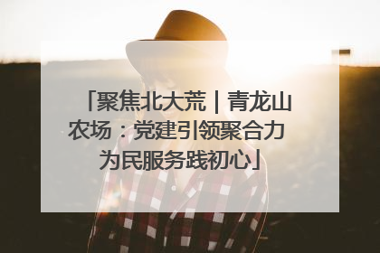 聚焦北大荒｜青龙山农场：党建引领聚合力 为民服务践初心