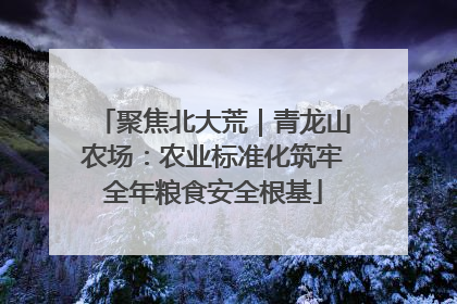 聚焦北大荒｜青龙山农场：农业标准化筑牢全年粮食安全根基