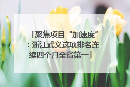 聚焦项目“加速度”：浙江武义这项排名连续四个月全省第一