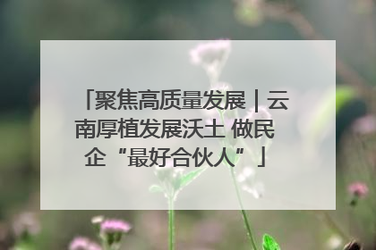 聚焦高质量发展｜云南厚植发展沃土 做民企“最好合伙人”