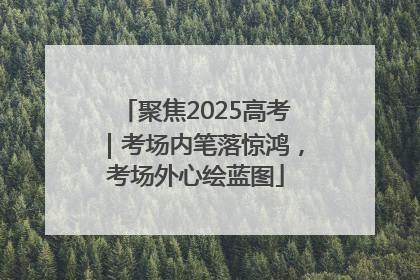 聚焦2025高考｜考场内笔落惊鸿，考场外心绘蓝图