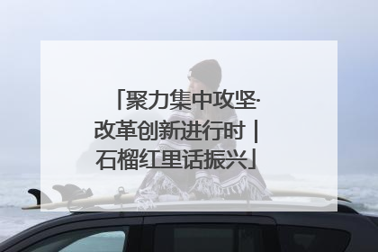 聚力集中攻坚·改革创新进行时｜石榴红里话振兴
