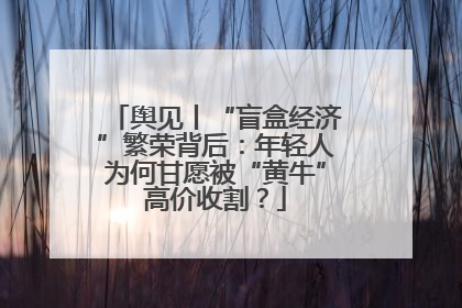 舆见丨“盲盒经济”繁荣背后：年轻人为何甘愿被“黄牛”高价收割？