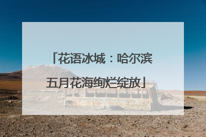 花语冰城：哈尔滨五月花海绚烂绽放