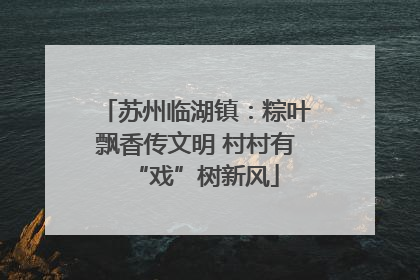 苏州临湖镇：粽叶飘香传文明 村村有“戏”树新风