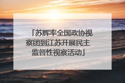 苏辉率全国政协视察团到江苏开展民主监督性视察活动