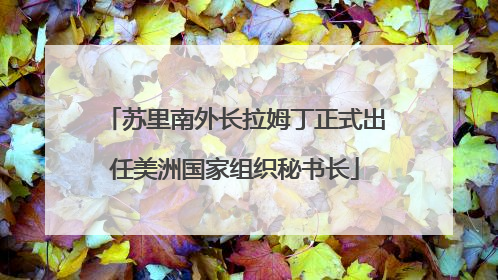 苏里南外长拉姆丁正式出任美洲国家组织秘书长