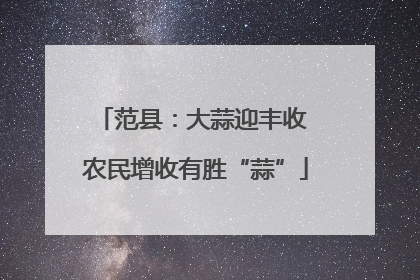 范县：大蒜迎丰收 农民增收有胜“蒜”