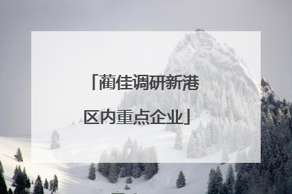 蔺佳调研新港区内重点企业