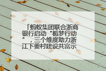 蚂蚁集团联合浙商银行启动“栀梦行动”，三个维度助力浙江下姜村建设共富示范区示范点
