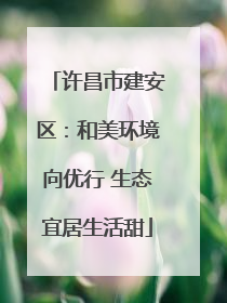 许昌市建安区：和美环境向优行 生态宜居生活甜
