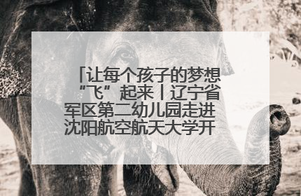 让每个孩子的梦想“飞”起来丨辽宁省军区第二幼儿园走进沈阳航空航天大学开展爱国主义教育