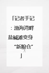 记者手记：渤海湾畔盐碱滩变身“新粮仓”