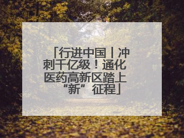 行进中国丨冲刺千亿级！通化医药高新区踏上“新”征程