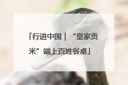 行进中国｜“皇家贡米”端上百姓餐桌