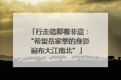 行走赣鄱看非遗：“希望岳家拳的身影遍布大江南北”