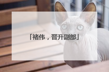 褚伟，晋升副部