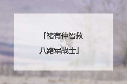 褚有仲智救八路军战士