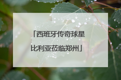 西班牙传奇球星 比利亚莅临郑州