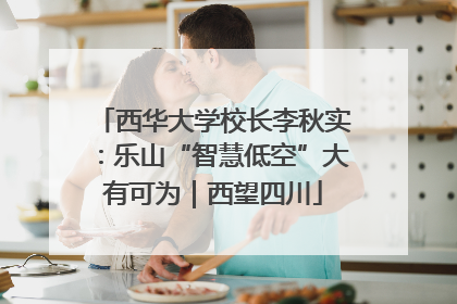西华大学校长李秋实：乐山“智慧低空”大有可为｜西望四川