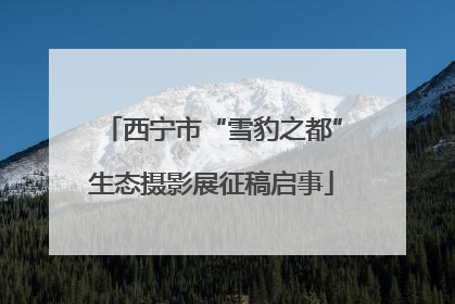 西宁市“雪豹之都”生态摄影展征稿启事