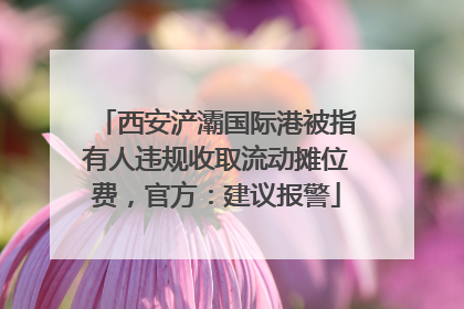 西安浐灞国际港被指有人违规收取流动摊位费，官方：建议报警