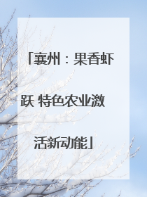襄州：果香虾跃 特色农业激活新动能