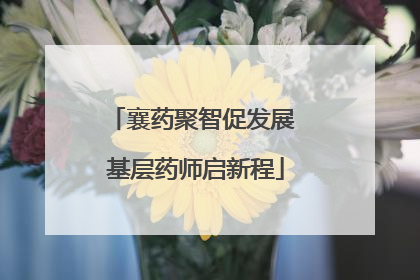襄药聚智促发展 基层药师启新程