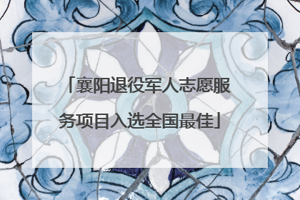 襄阳退役军人志愿服务项目入选全国最佳