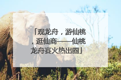 观龙舟，游仙桃，逛仙商——仙桃龙舟赛火热出圈