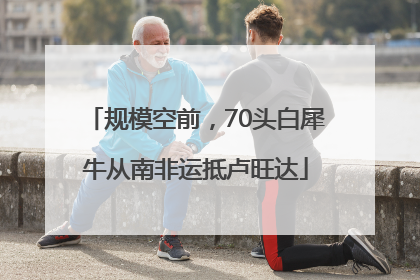 规模空前，70头白犀牛从南非运抵卢旺达
