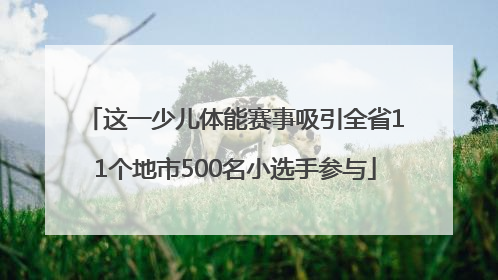 这一少儿体能赛事吸引全省11个地市500名小选手参与