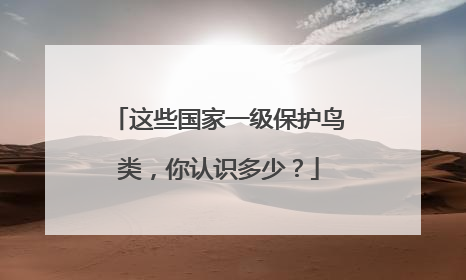 这些国家一级保护鸟类，你认识多少？