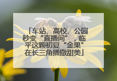 车站、高校、公园秒变“直播间”，临平这颗初夏“金果”在长三角播撒甜美