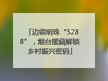 边疆明珠“5288”，烟台援藏解锁乡村振兴密码